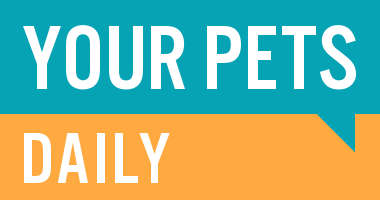 Your Pets Daily