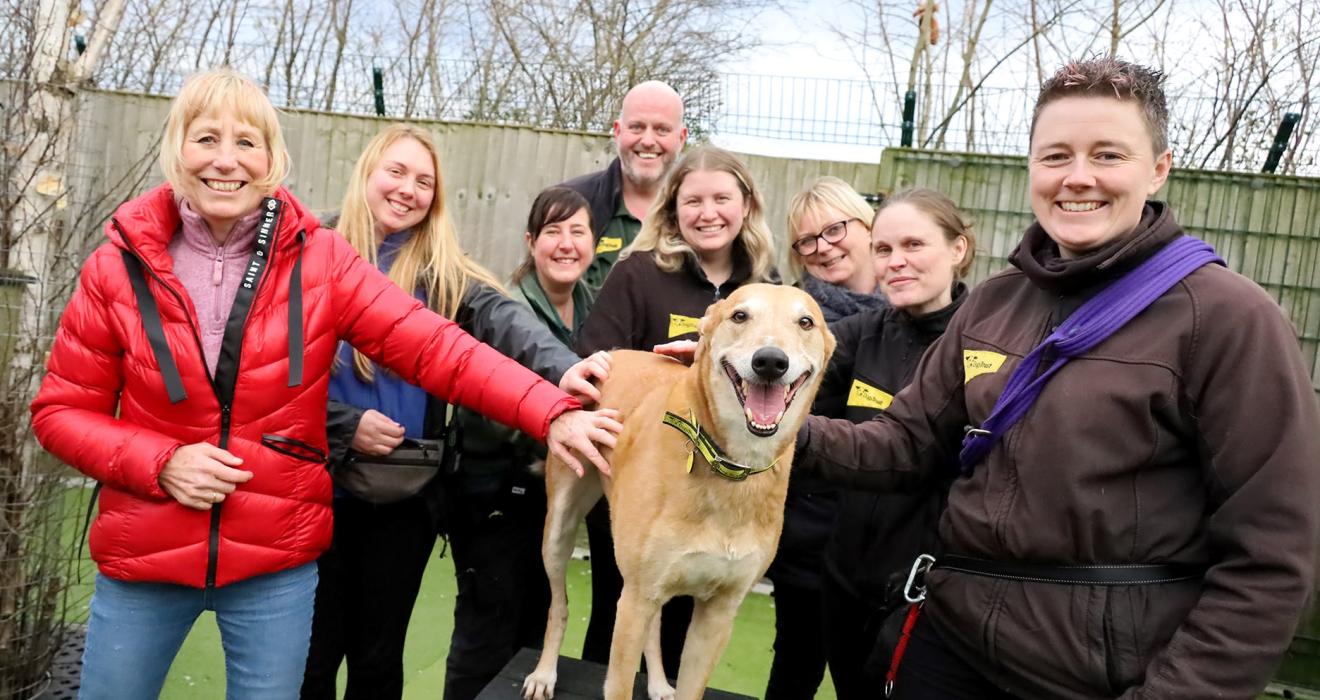 Jake on adoption day with all his Dogs Trust friends