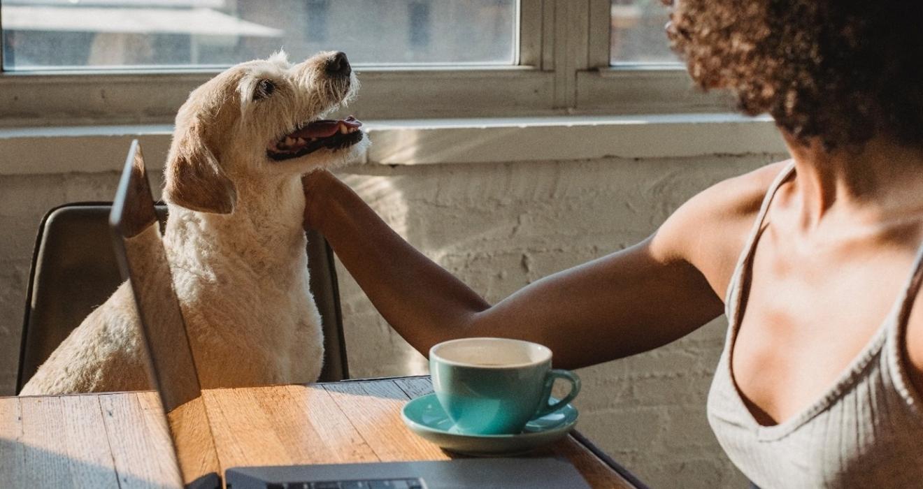 A dog and it's owner having coffee