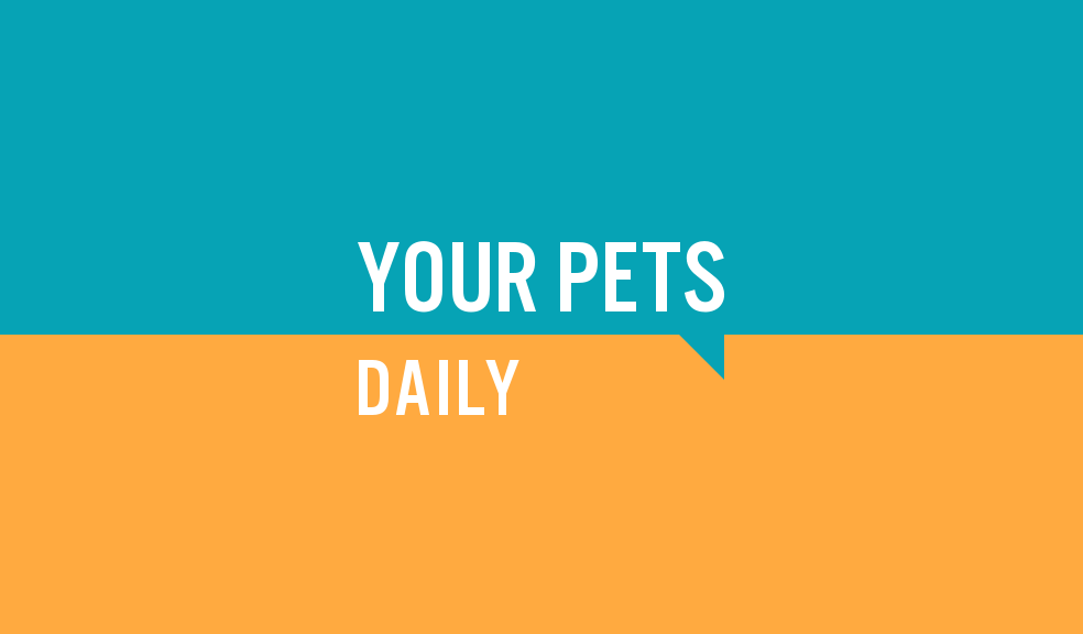 Your Pets Daily - default image logo