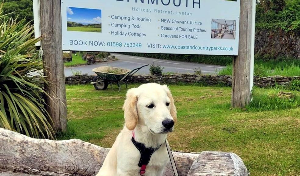Devon is heaven for dogs staying at Lynmouth Holiday Retreat, voted the UK's most perfect park for p