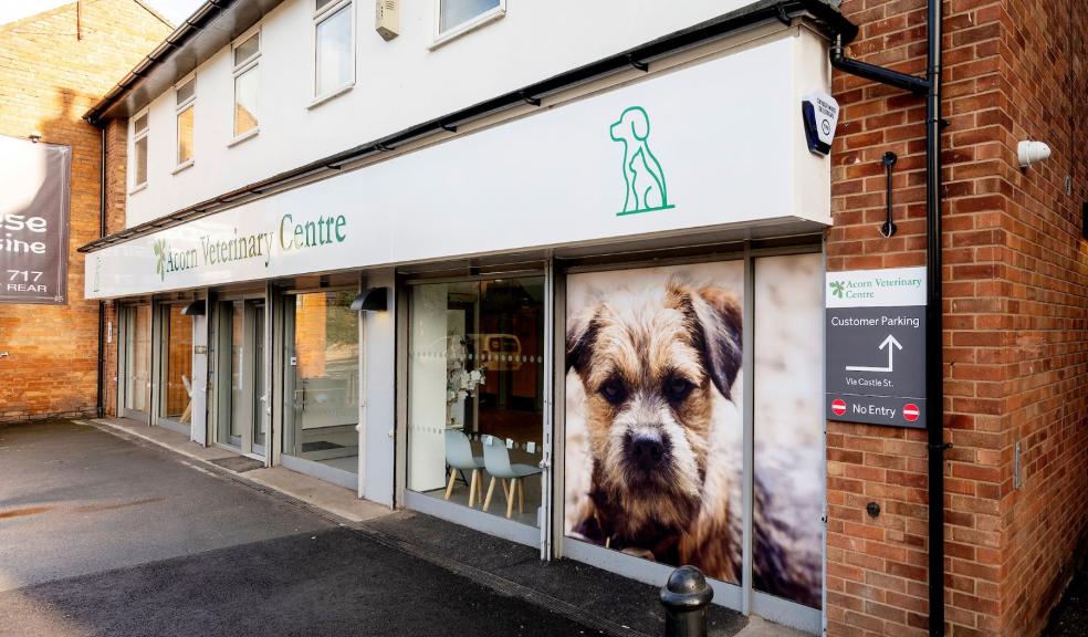 Acorn Vets