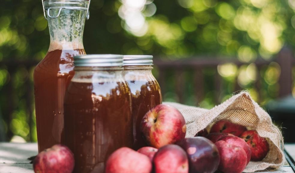 Apple cider vinegar for dogs Apple cider vinegar for dogs