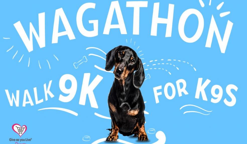 Blue Dachshund Wagathon