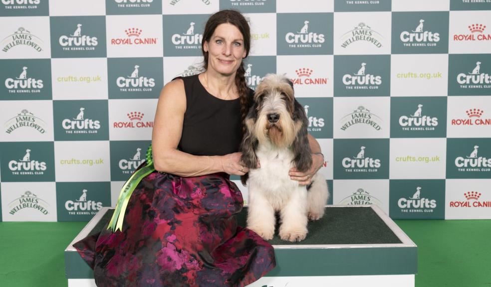 Crufts Hound Group winner Crufts Hound Group winner