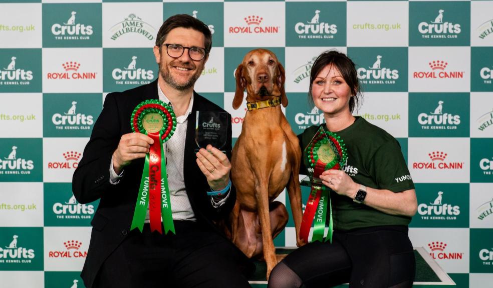 Crufts Large Novice ABC agility winner Lorna and Drico