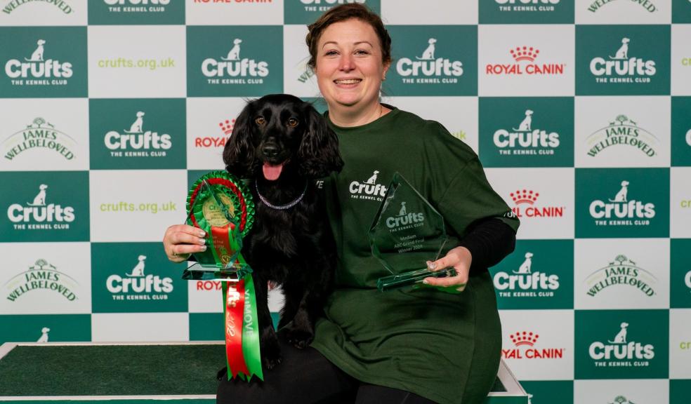 Crufts Medium Novice ABC agility winner Georgie and Eadie