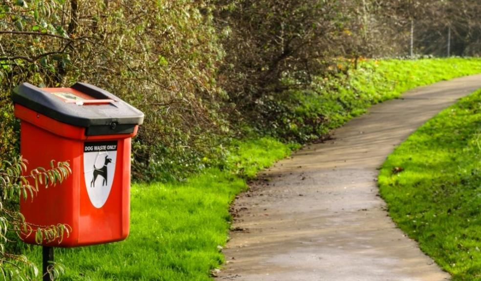 Dog Poo Bin in a local park