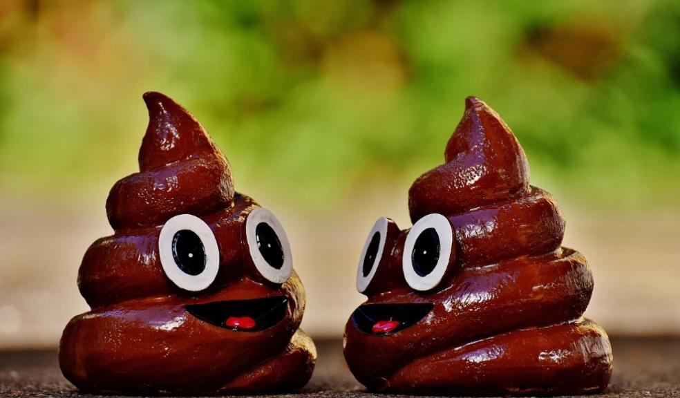 Dogs Poo Dogs Poo