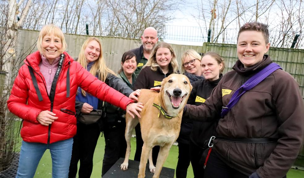 Jake on adoption day with all his Dogs Trust friends