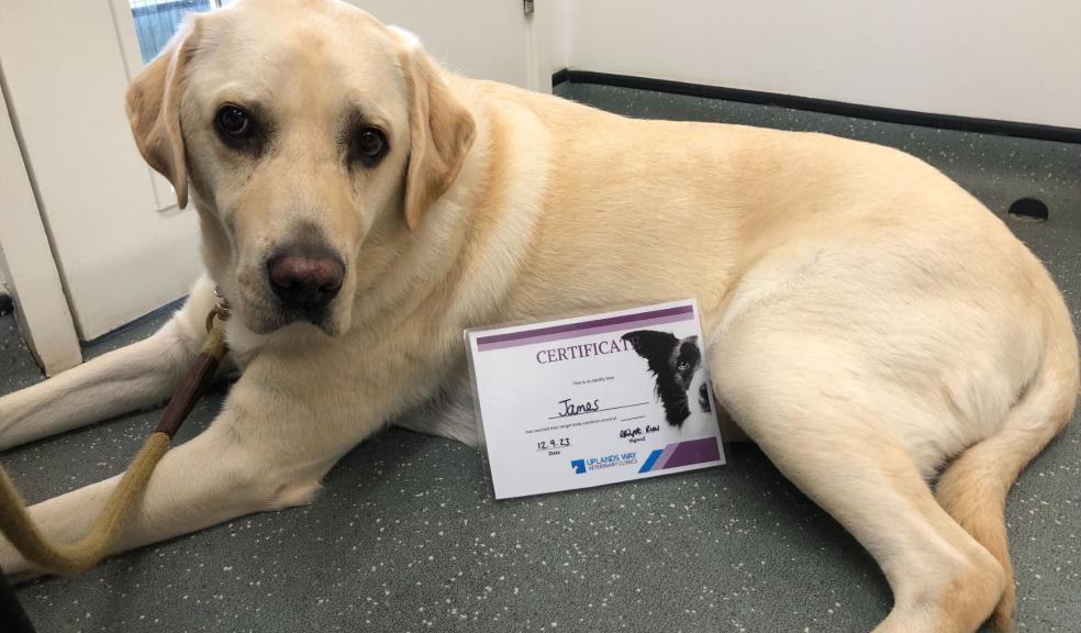 James with his weight loss certificate