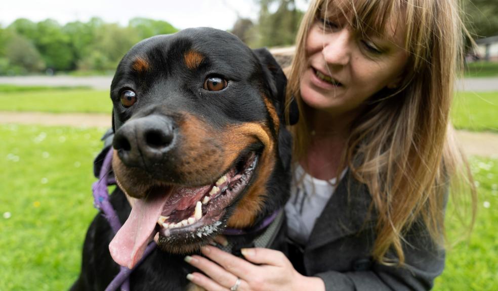 Lisa Twentyman with Loki, the Rottweiler Lisa Twentyman with Loki, the Rottweiler
