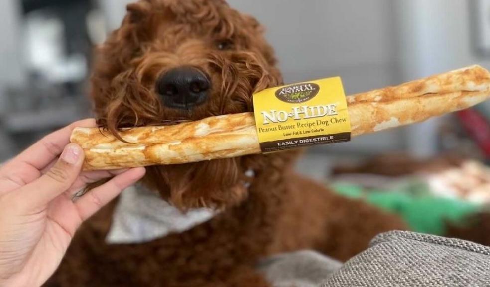 No-Hide Chews No-Hide Chews