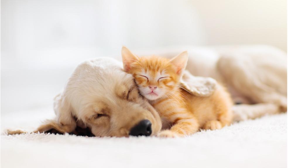 Image via Dreamstime.com