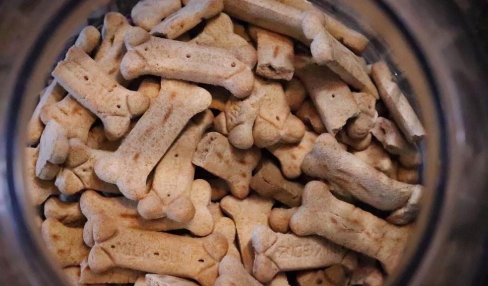 healthy dog treats healthy dog treats