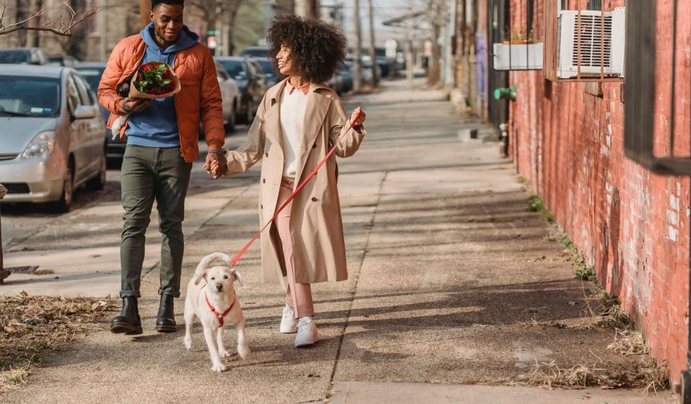 A couple walking their dog