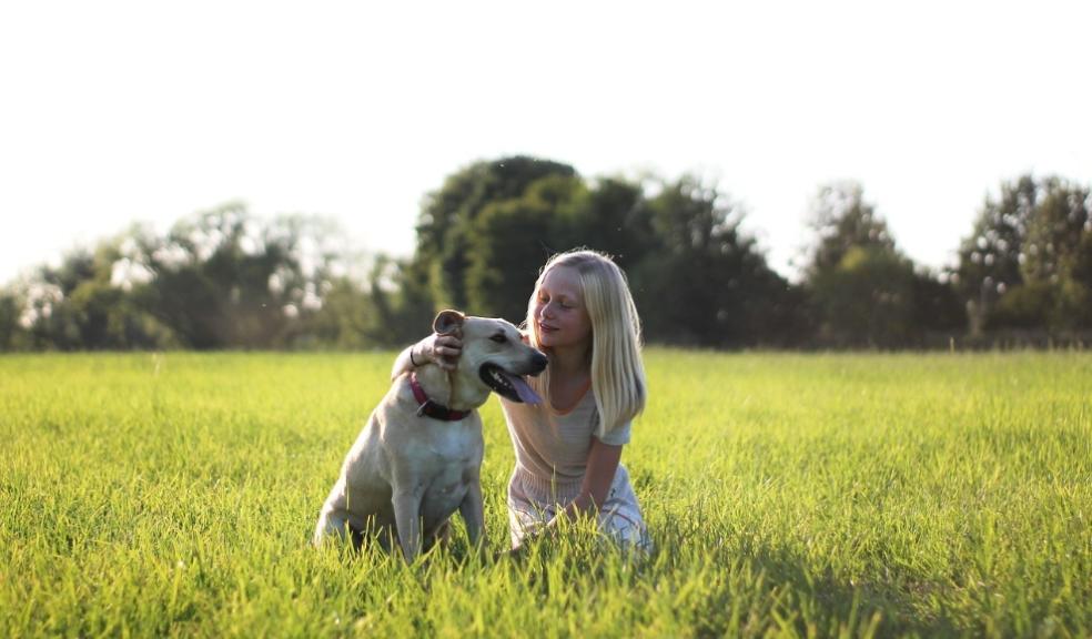 loving your pets and benefits of ownership