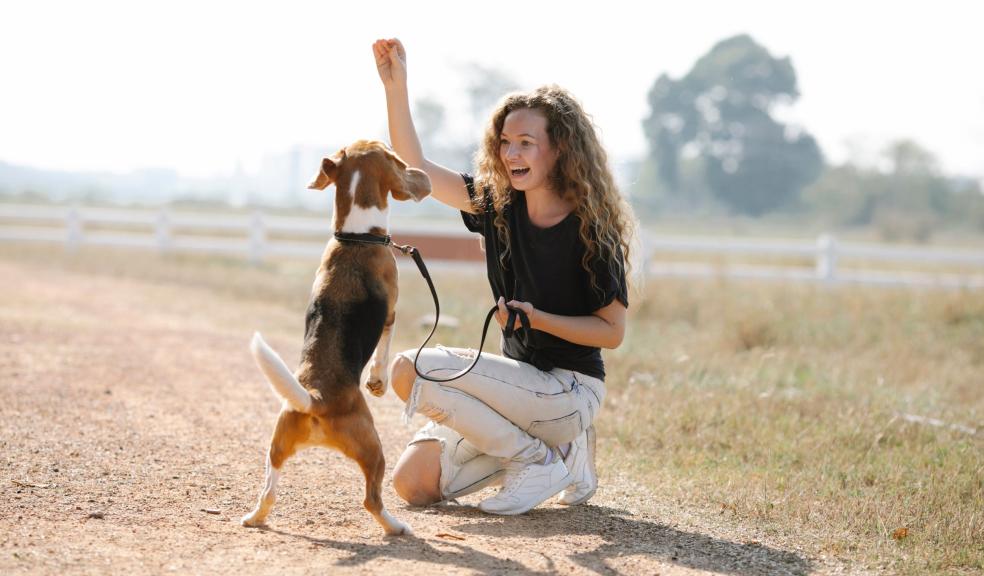 Excited woman teaching dog to beg