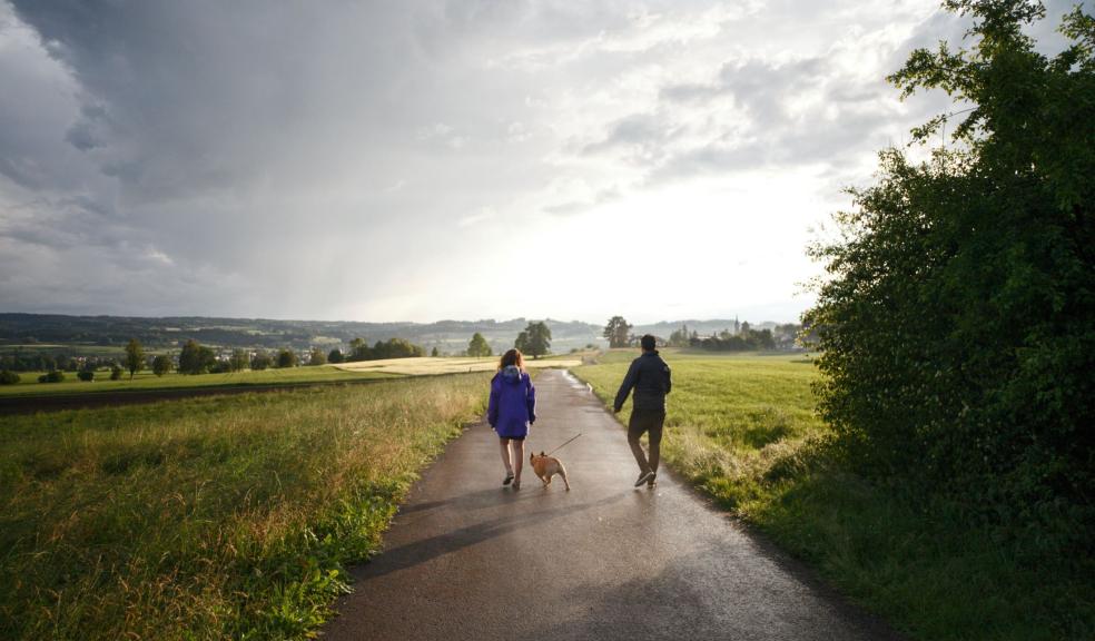 Man and Woman Walking Dog on Tarmacked Road