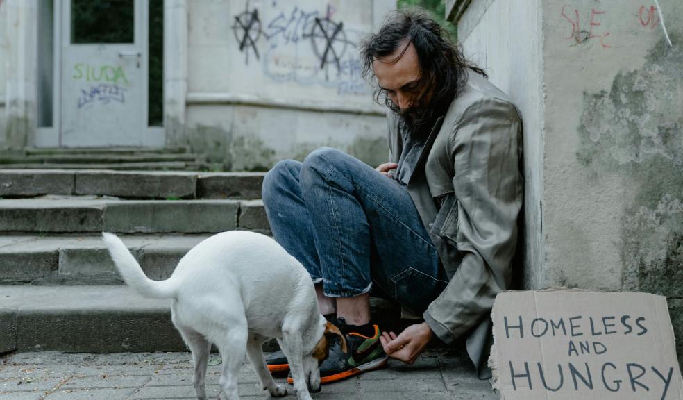 Man in Blue Denim Jeans Sitting Beside White Short Coat Dog