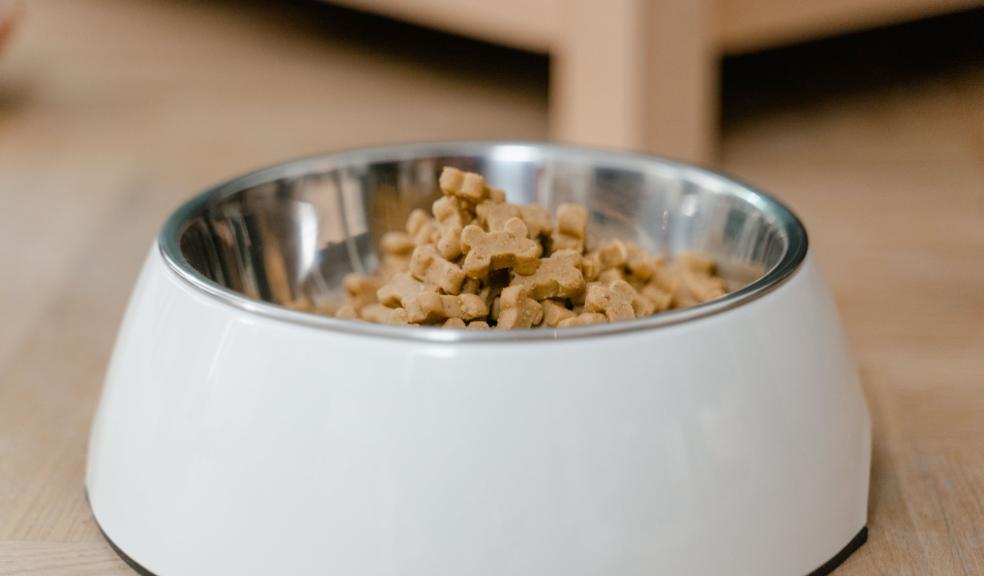 Bowl of Dog Food