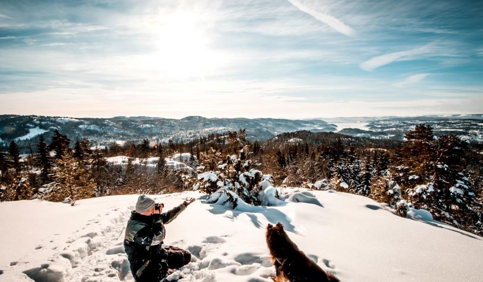 Man sitting near a dog Holding a Camera While Taking Picture of the Landscape