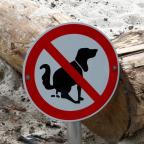 Dog Health Through Poop