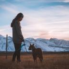 Dog Walking
