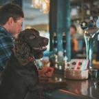 dog and owner sitting at a bar in a public house