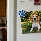 Photo of a tan and white pet dog stuck to the front of a refrigerator with a blue paw shaped magnet