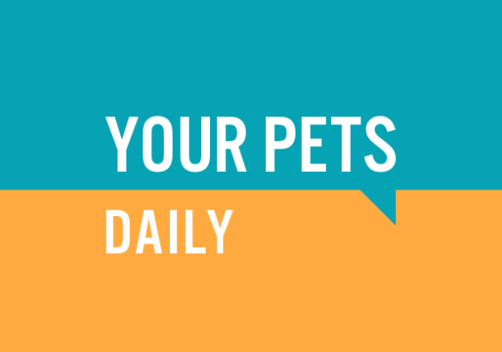 Your Pets Daily - default image logo