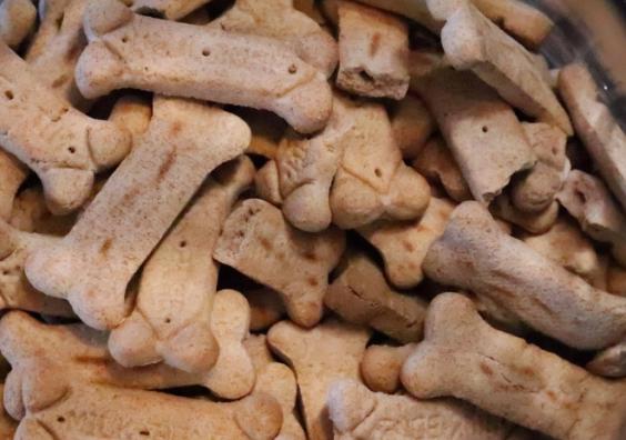 healthy dog treats