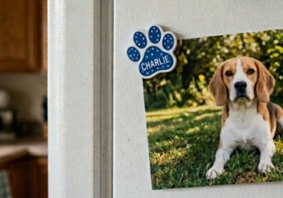 Photo of a tan and white pet dog stuck to the front of a refrigerator with a blue paw shaped magnet