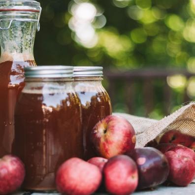 Apple cider vinegar for dogs