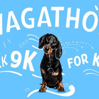 Blue Dachshund Wagathon