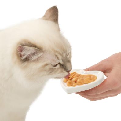 A cat eating Valentine's treats