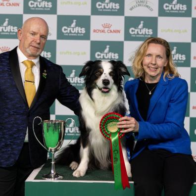 Crufts Obedience Champion Dog winner