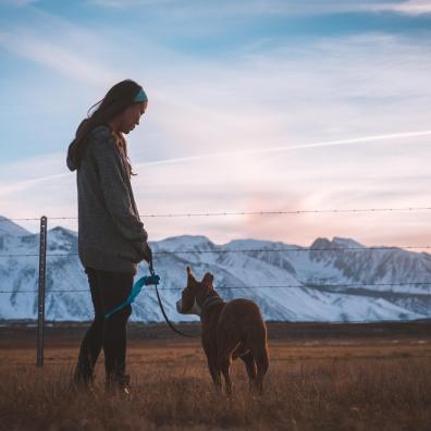 Dog Walking