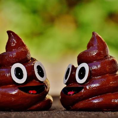 Dogs Poo
