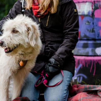 Dogs Trust's Christmas Parcel Service is sending out gifts to over 300 homelessness services this winter. cream coloured large dog with owner kneeling holding leash