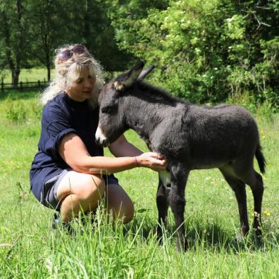 Groom Lisa Coles with the new foal at The Donkey Sanctuary