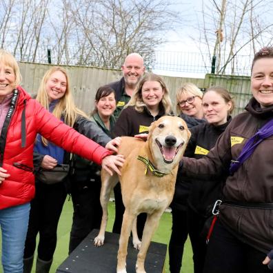 Jake on adoption day with all his Dogs Trust friends