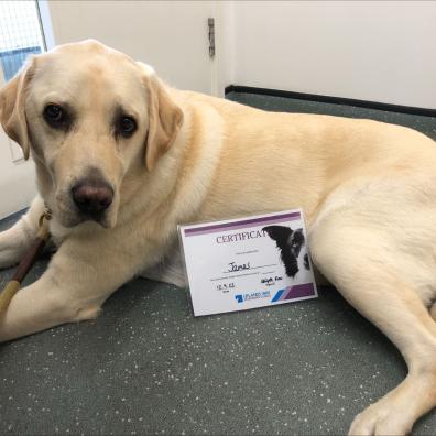 James with his weight loss certificate