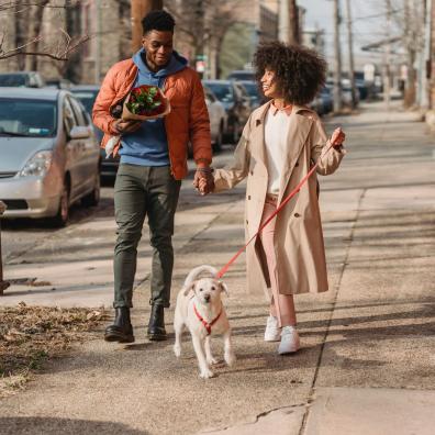 A couple walking their dog