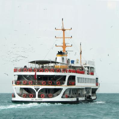 White Ship Traveling Through Vast Body of Water With White Birds Flying Beside