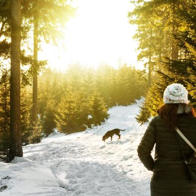 Rear View of Woman in Snow Covered Forest