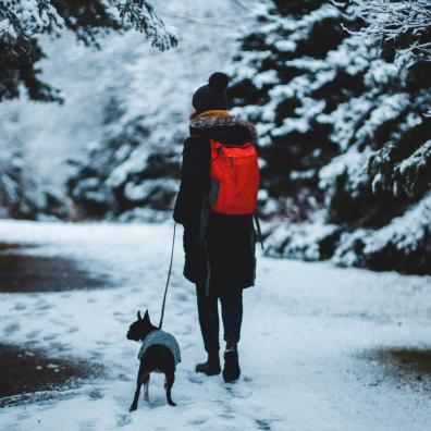 Man in Black Jacket and Black Pants Standing on Snow Covered Ground With Black and White Dog