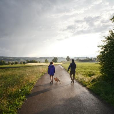 Man and Woman Walking Dog on Tarmacked Road