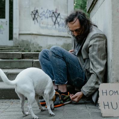 Man in Blue Denim Jeans Sitting Beside White Short Coat Dog