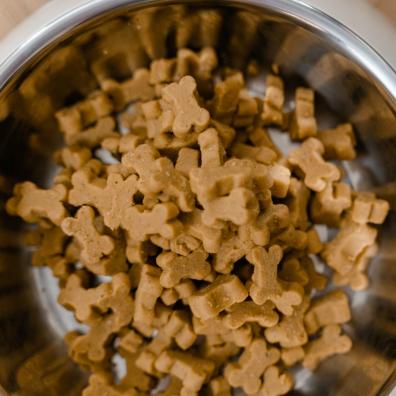 Dog Food in a Stainless Steel Bowl